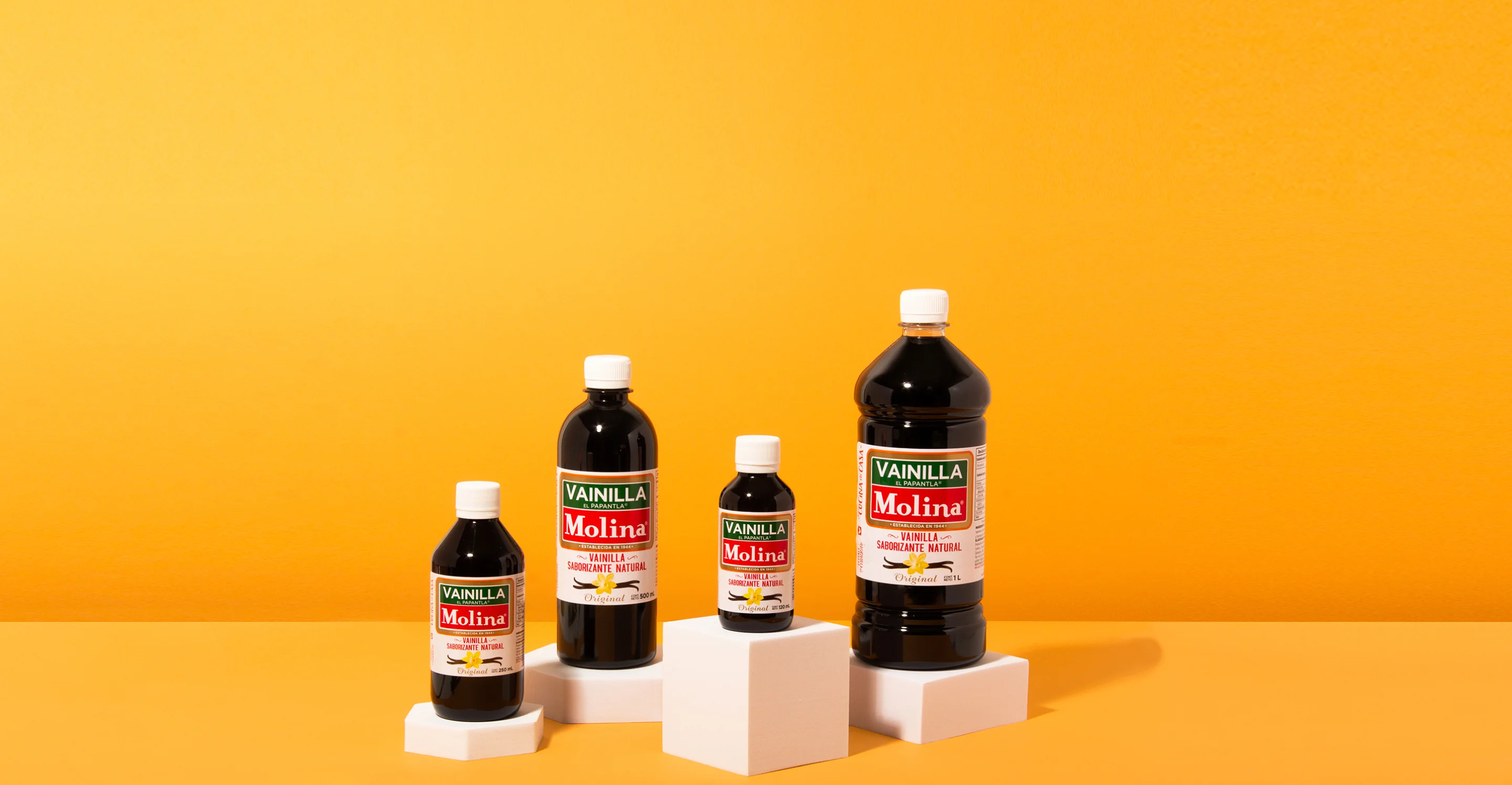 Vainilla Molina - Productos 