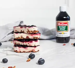 Paletas de yogurt y blueberries